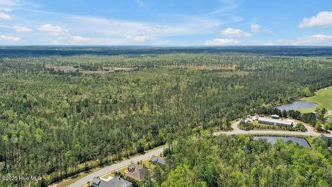 Tiny photo for 1336 Cape Fear National Drive, Leland, NC 28451 (MLS # 100550023)