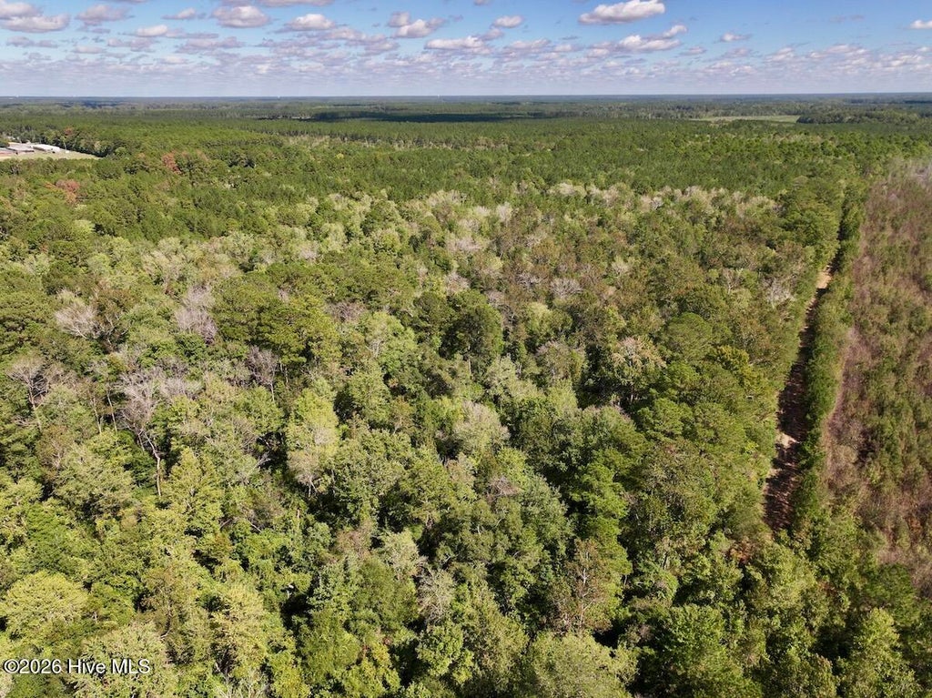 Photo of 00 Hwy 258 S, Deep Run, NC 28525 (MLS # 100610910)