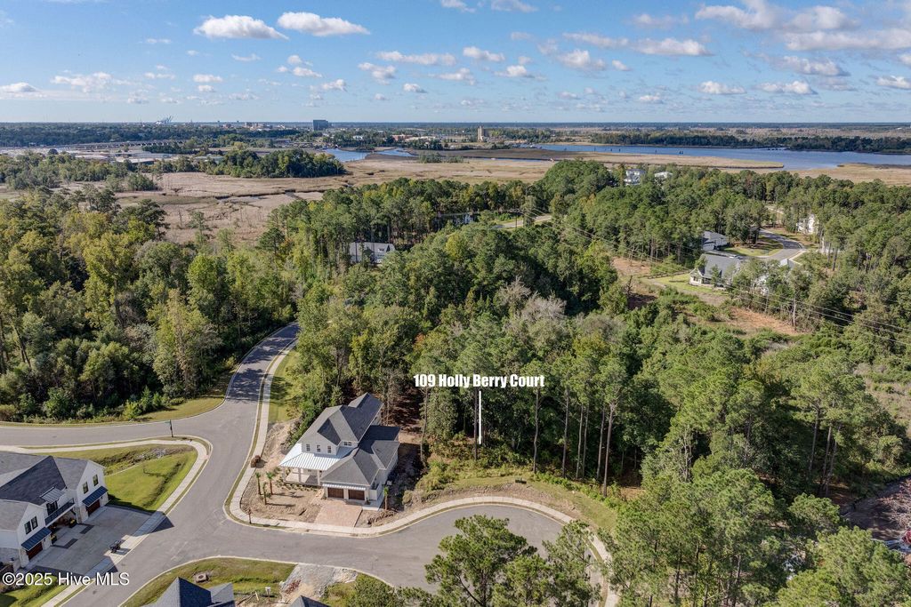 Photo of 109 Holly Berry Court, Wilmington, NC 28401 (MLS # 100537676)