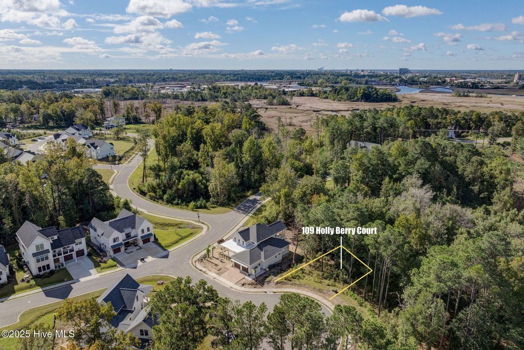 Photo of 109 Holly Berry Court, Wilmington, NC 28401 (MLS # 100537676)