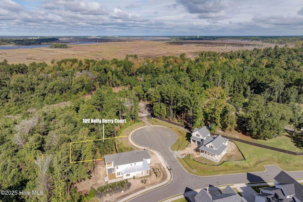 Photo of 109 Holly Berry Court, Wilmington, NC 28401 (MLS # 100537676)