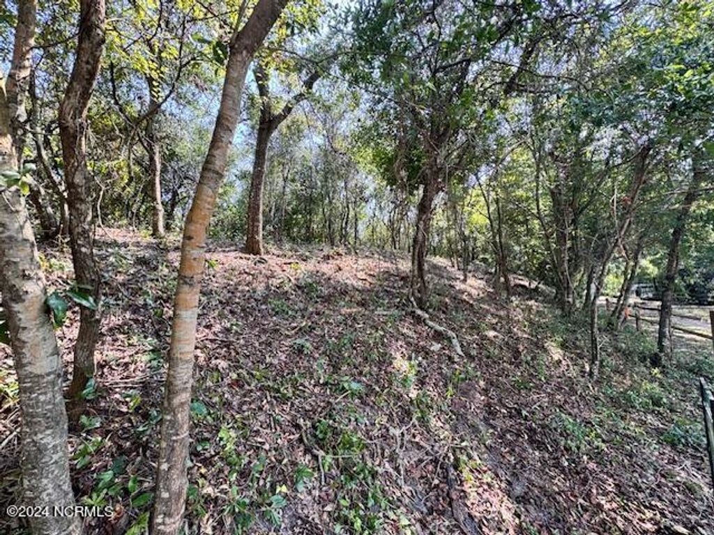 Photo of 9 W Ridge, Surf City, NC 28445 (MLS # 100570104)