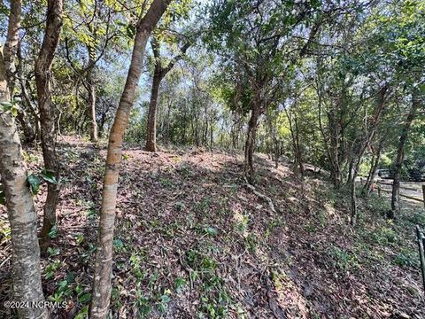 Photo of 9 W Ridge, Surf City, NC 28445 (MLS # 100570104)