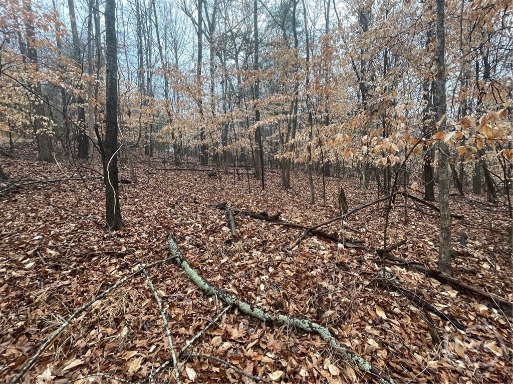 Photo of 942 Birdie Court, Westminster, SC 29693 (MLS # CL351327)