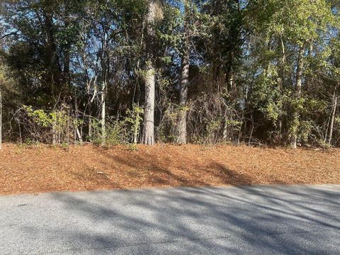 Vacant Land For Sale - Fairway Drive<br/> New Ellenton, SC 29809