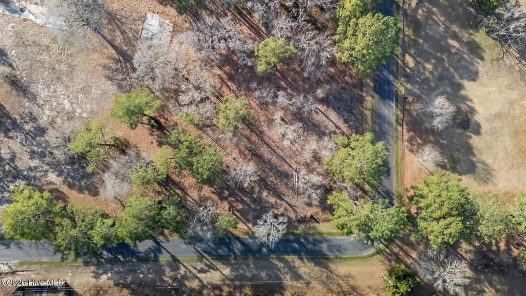 Photo of 4 Trent Acres Drive, Pollocksville, NC 28573 (MLS # 100558278)