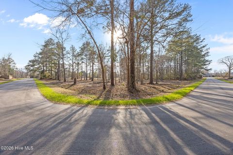 Lot 4b 4 Trent Acres Drive Pollocksville NC 28573