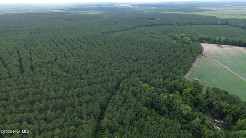 Tiny photo for Tbd Point Caswell Road, Atkinson, NC 28421 (MLS # 100599326)