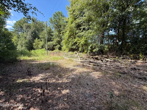 Tiny photo for Tbd Point Caswell Road, Atkinson, NC 28421 (MLS # 100599326)