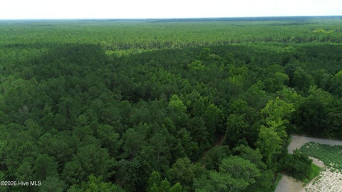 Tiny photo for Tbd Point Caswell Road, Atkinson, NC 28421 (MLS # 100599326)
