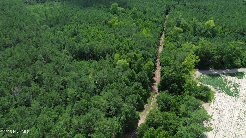 Photo of Tbd Point Caswell Road, Atkinson, NC 28421 (MLS # 100599326)