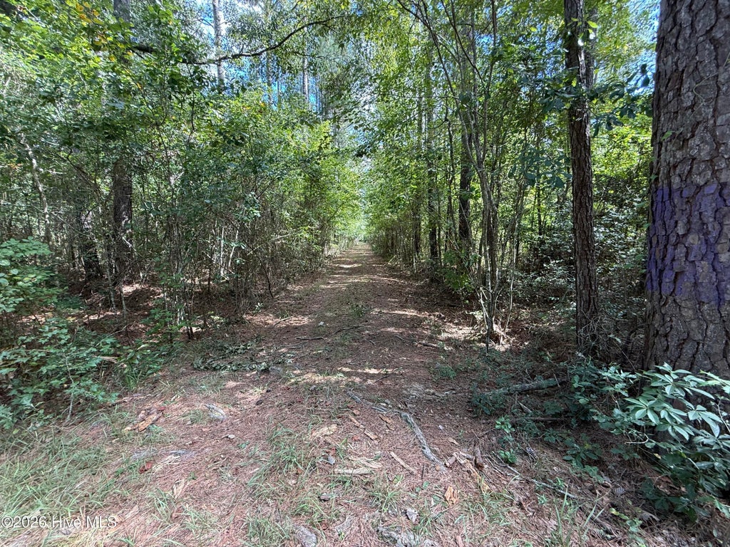 Photo of Tbd Point Caswell Road, Atkinson, NC 28421 (MLS # 100599326)