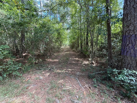 Tiny photo for Tbd Point Caswell Road, Atkinson, NC 28421 (MLS # 100599326)