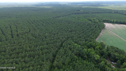 Tiny photo for Tbd Point Caswell Road, Atkinson, NC 28421 (MLS # 100599326)