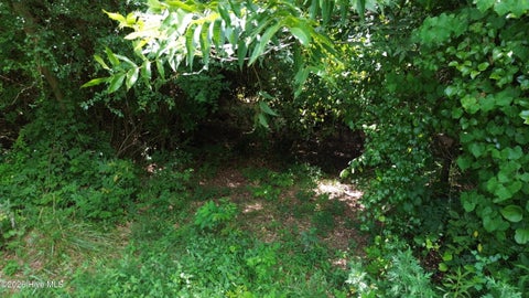 Tiny photo for Tbd Point Caswell Road, Atkinson, NC 28421 (MLS # 100599326)