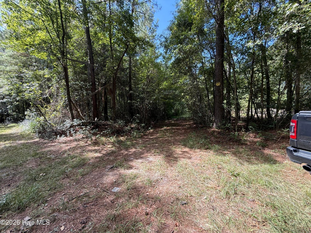 Photo of Tbd Point Caswell Road, Atkinson, NC 28421 (MLS # 100599326)