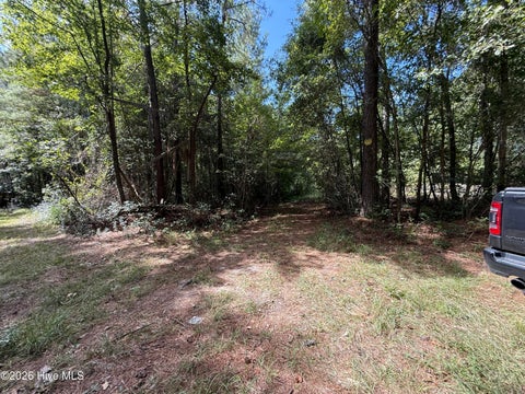 Tiny photo for Tbd Point Caswell Road, Atkinson, NC 28421 (MLS # 100599326)