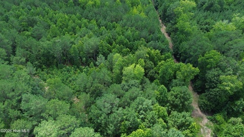 Tiny photo for Tbd Point Caswell Road, Atkinson, NC 28421 (MLS # 100599326)