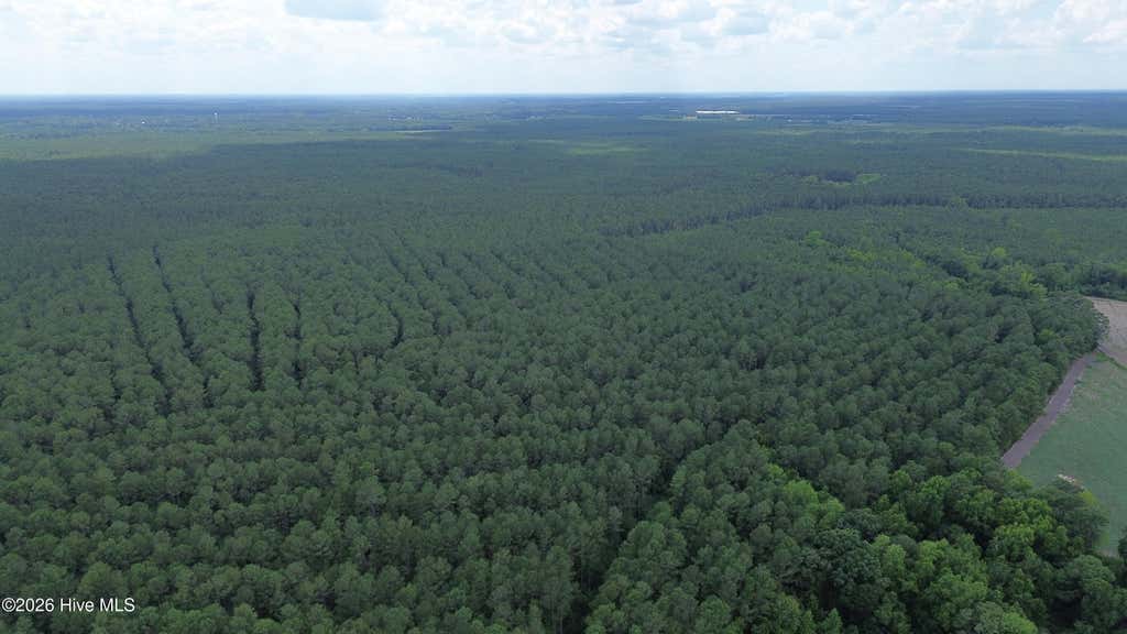 Photo of Tbd Point Caswell Road, Atkinson, NC 28421 (MLS # 100599326)