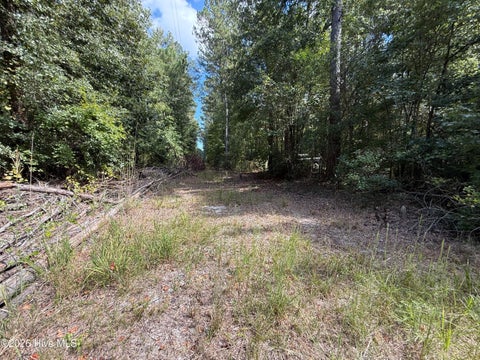 Tiny photo for Tbd Point Caswell Road, Atkinson, NC 28421 (MLS # 100599326)