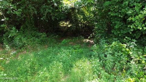 Tiny photo for Tbd Point Caswell Road, Atkinson, NC 28421 (MLS # 100599326)