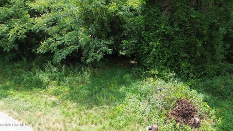 Tiny photo for Tbd Point Caswell Road, Atkinson, NC 28421 (MLS # 100599326)
