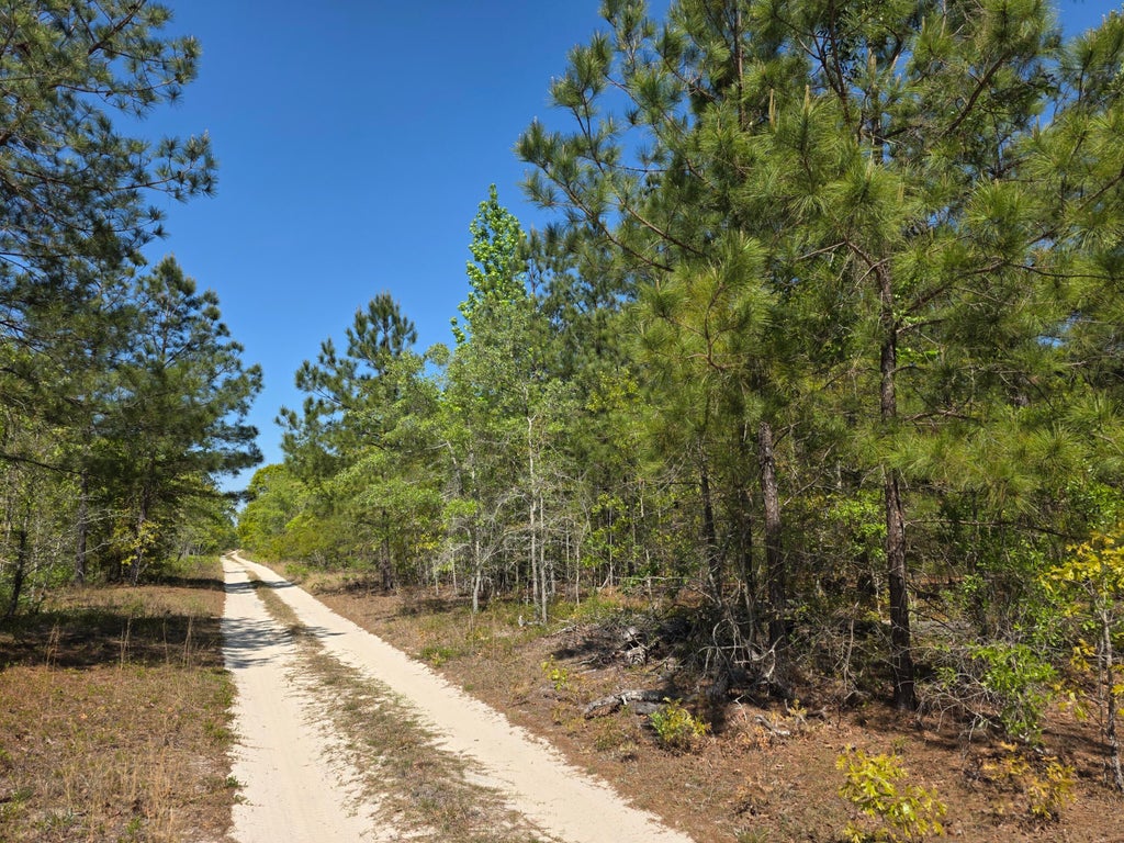 Photo of 1 Briarwood Drive, Williston, SC 29853 (MLS # 100601489)