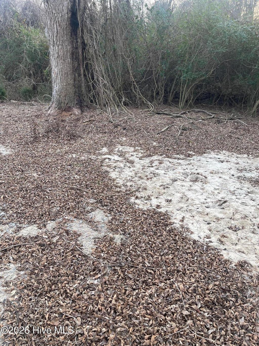 Photo of 316 Bayview Road, Bayview, NC 27808 (MLS # 100554395)