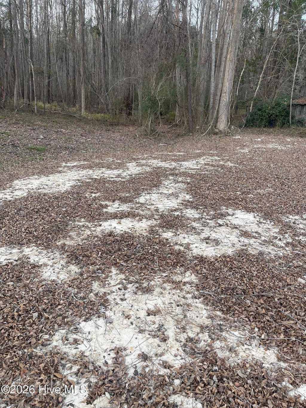 Photo of 316 Bayview Road, Bayview, NC 27808 (MLS # 100554395)