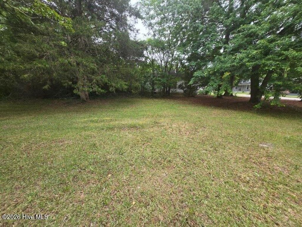 Photo of 1115 Hargrove Street, Rocky Mount, NC 27801 (MLS # 100576424)