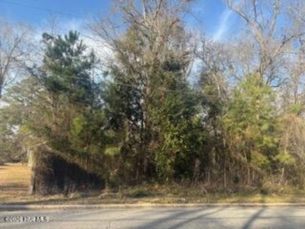 Photo of 2224 E Near 217 E Clay Street, Whiteville, NC 28472 (MLS # 100555427)