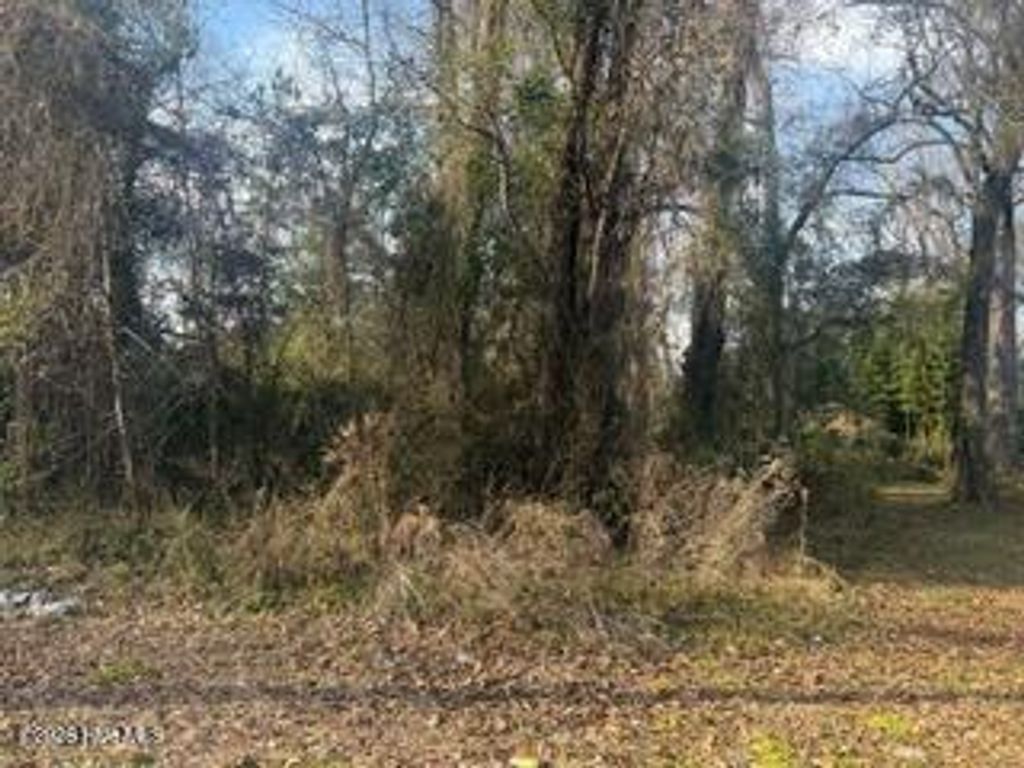 Photo of 2224 E Near 217 E Clay Street, Whiteville, NC 28472 (MLS # 100555427)