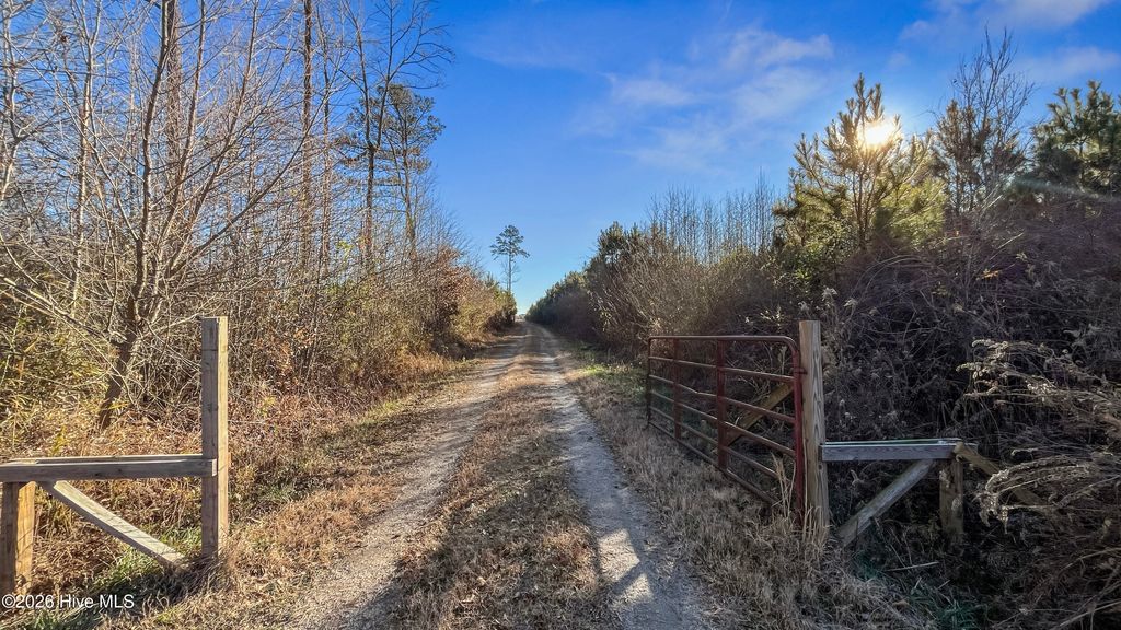 Photo of 700 Earl Davis Road, Rose Hill, NC 28458 (MLS # 100550886)