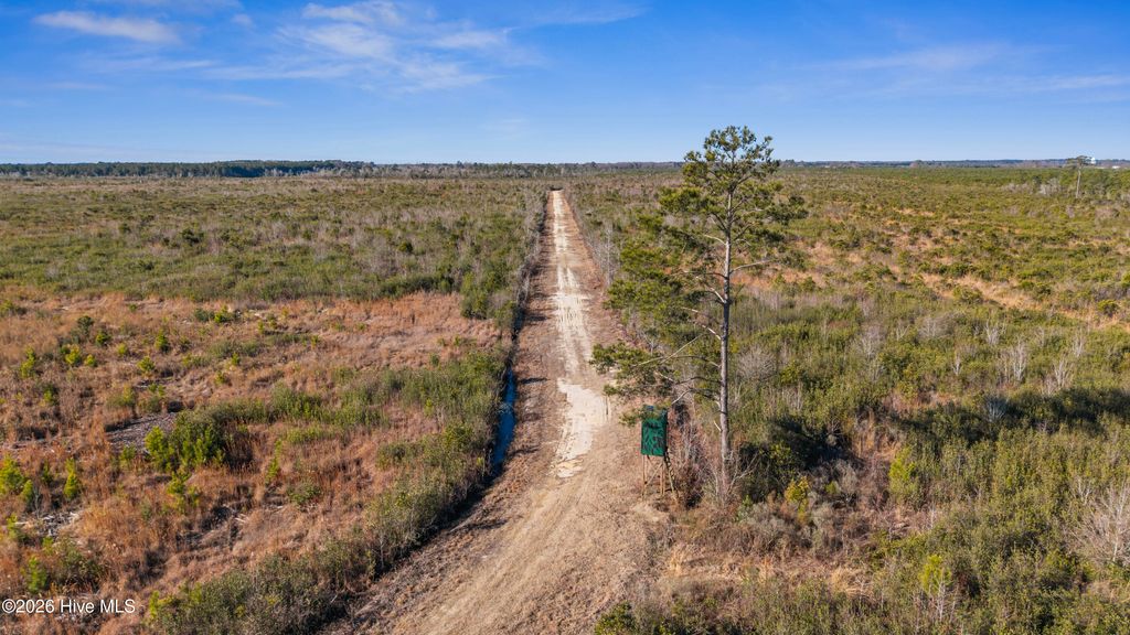 Photo of 700 Earl Davis Road, Rose Hill, NC 28458 (MLS # 100550886)