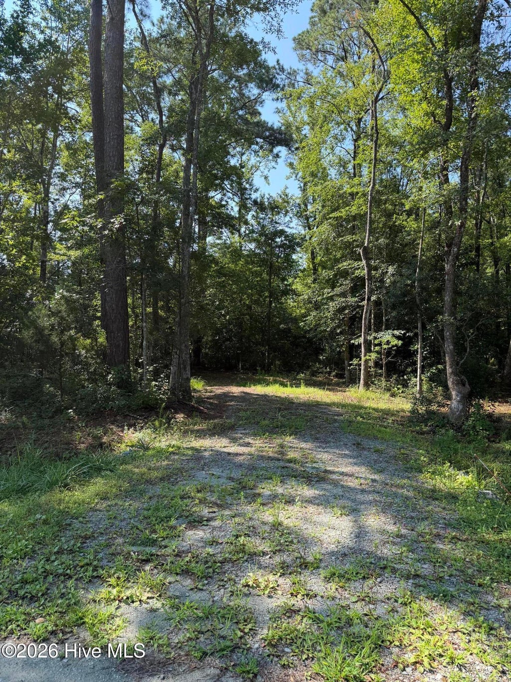 Photo of 1421 Seafarer Drive, Oriental, NC 28571 (MLS # 100593099)
