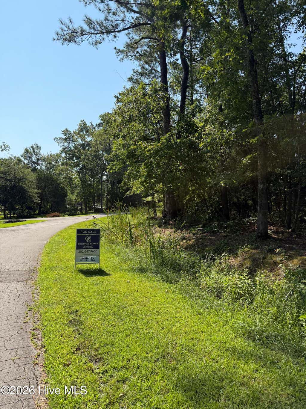 Photo of 1421 Seafarer Drive, Oriental, NC 28571 (MLS # 100593099)