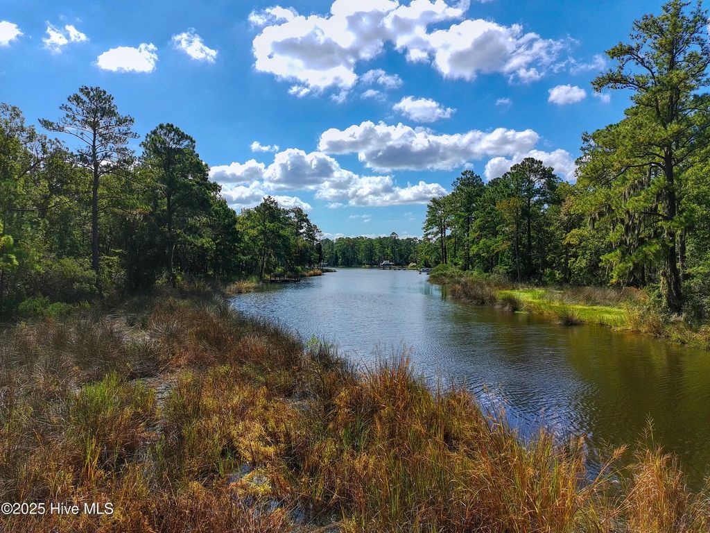 Photo of 77 Mcgowan Road, Bath, NC 27808 (MLS # 100528731)