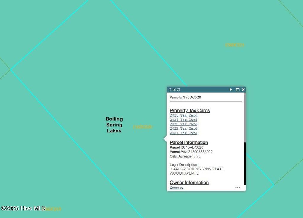 Photo of 441 Woodhaven Rd Road, Southport, NC 28461 (MLS # 100515096)