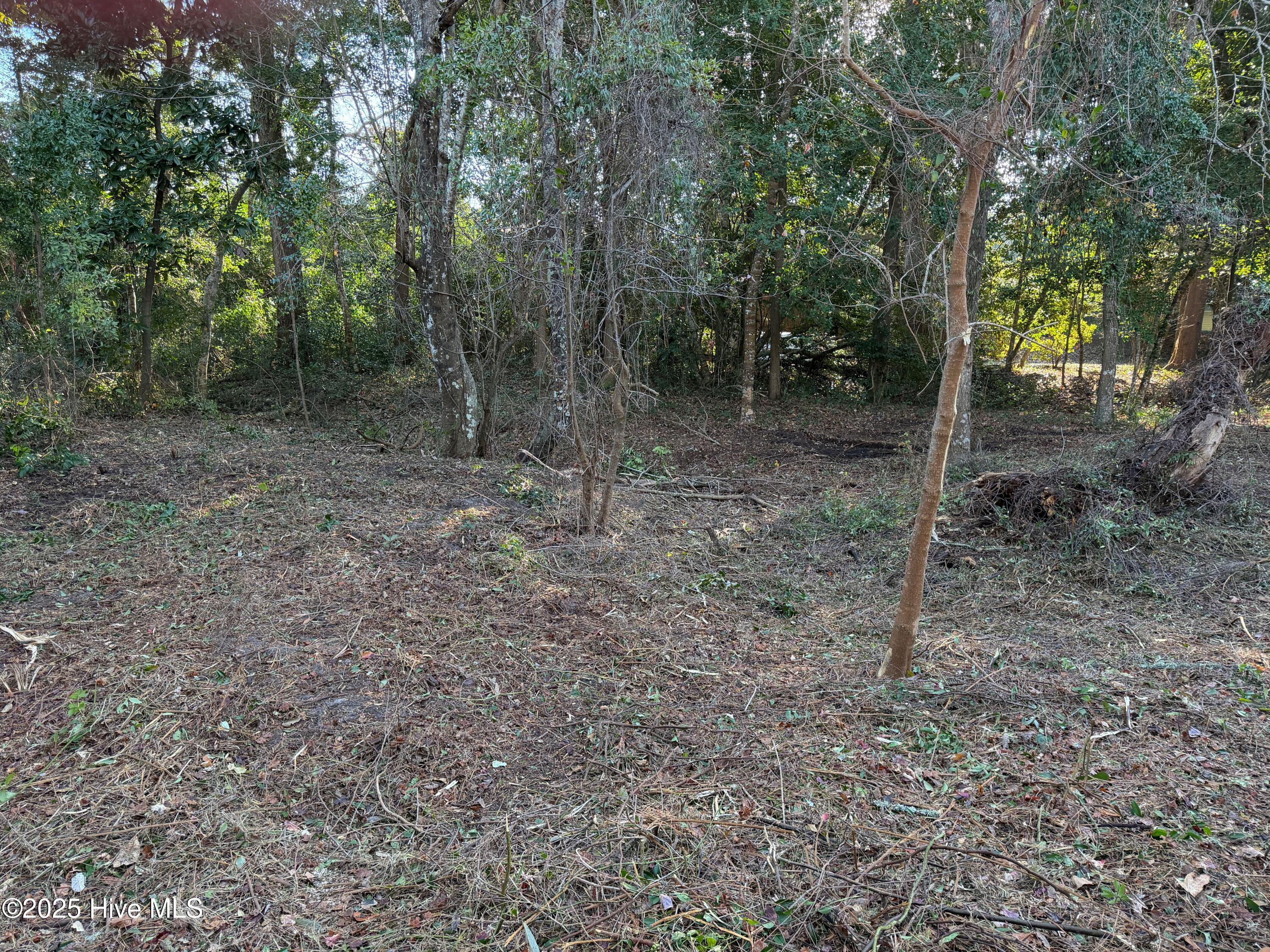 150 35 Arborvitae Drive