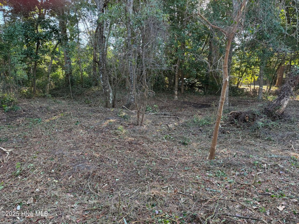 Photo of 150 Arborvitae Drive, Pine Knoll Shores, NC 28512 (MLS # 100546717)