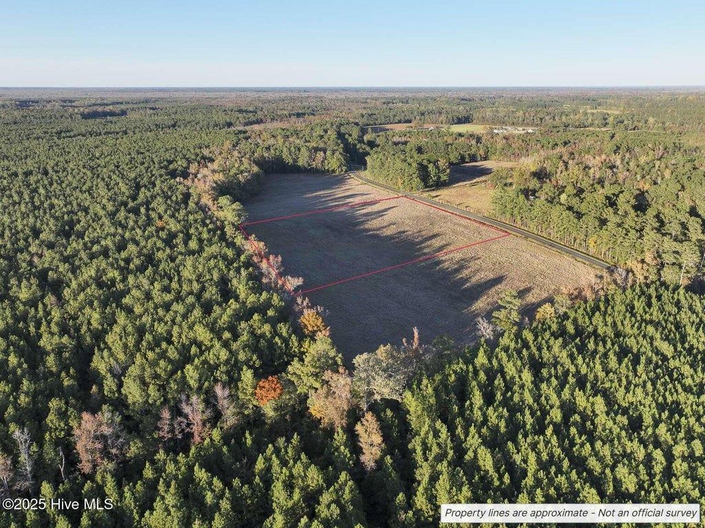 Photo of 948 Creek Road, Whiteville, NC 28472 (MLS # 100578563)