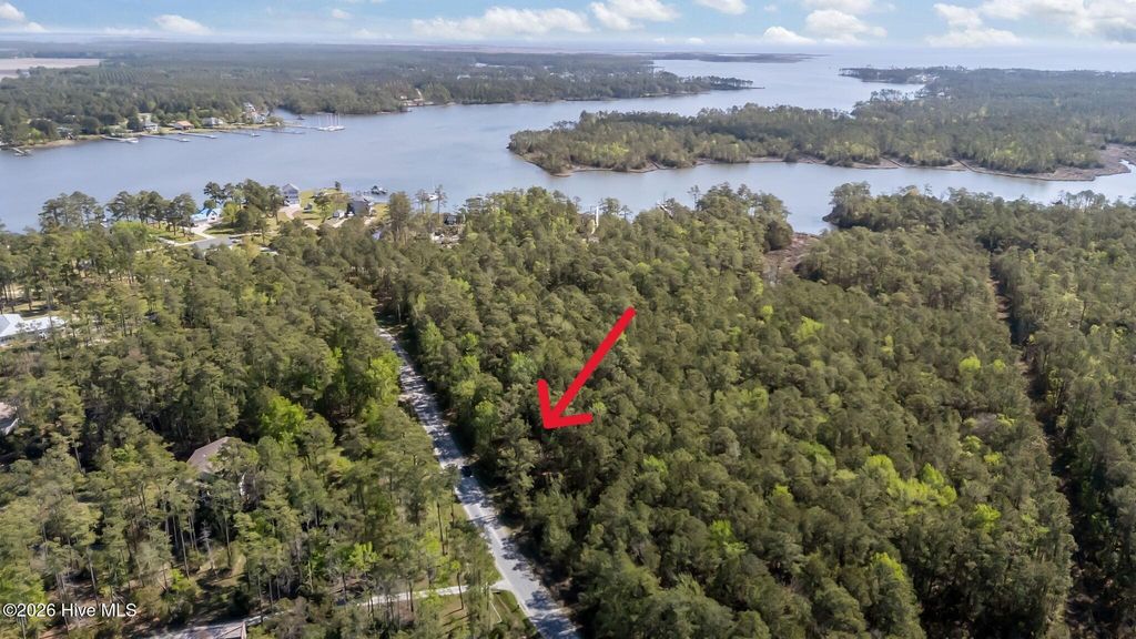 Photo of 336 Mills Road, Oriental, NC 28571 (MLS # 100566955)