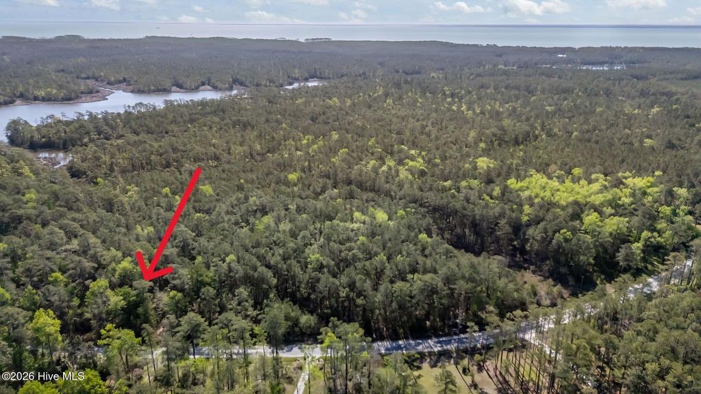 Photo of 336 Mills Road, Oriental, NC 28571 (MLS # 100566955)