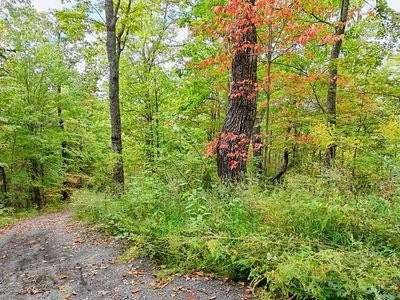 Vacant Land For Sale - LOT 23 Skyview<br/> Hayesville, NC 28904