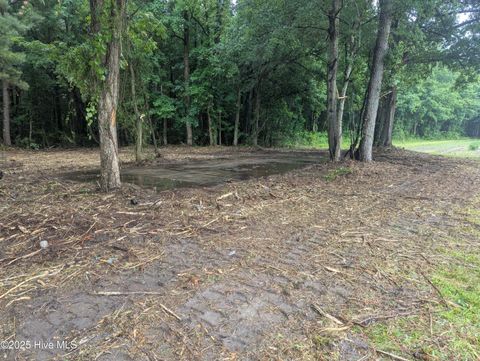 Vacant Land For Sale - Nc Hwy111<br/> Pinetops, NC 27864