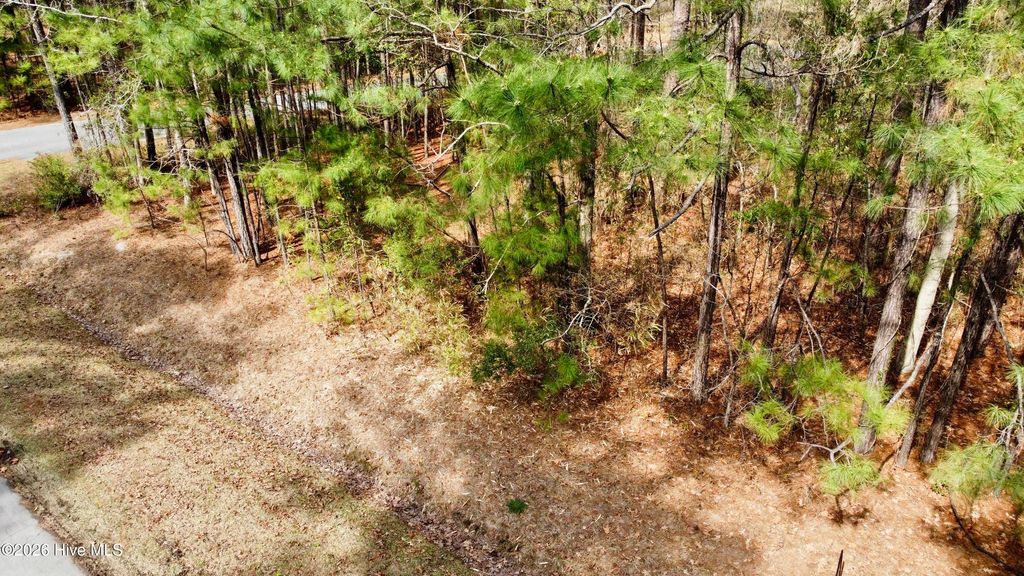 Photo of 00 Doris Drive, Oriental, NC 28571 (MLS # 100560614)