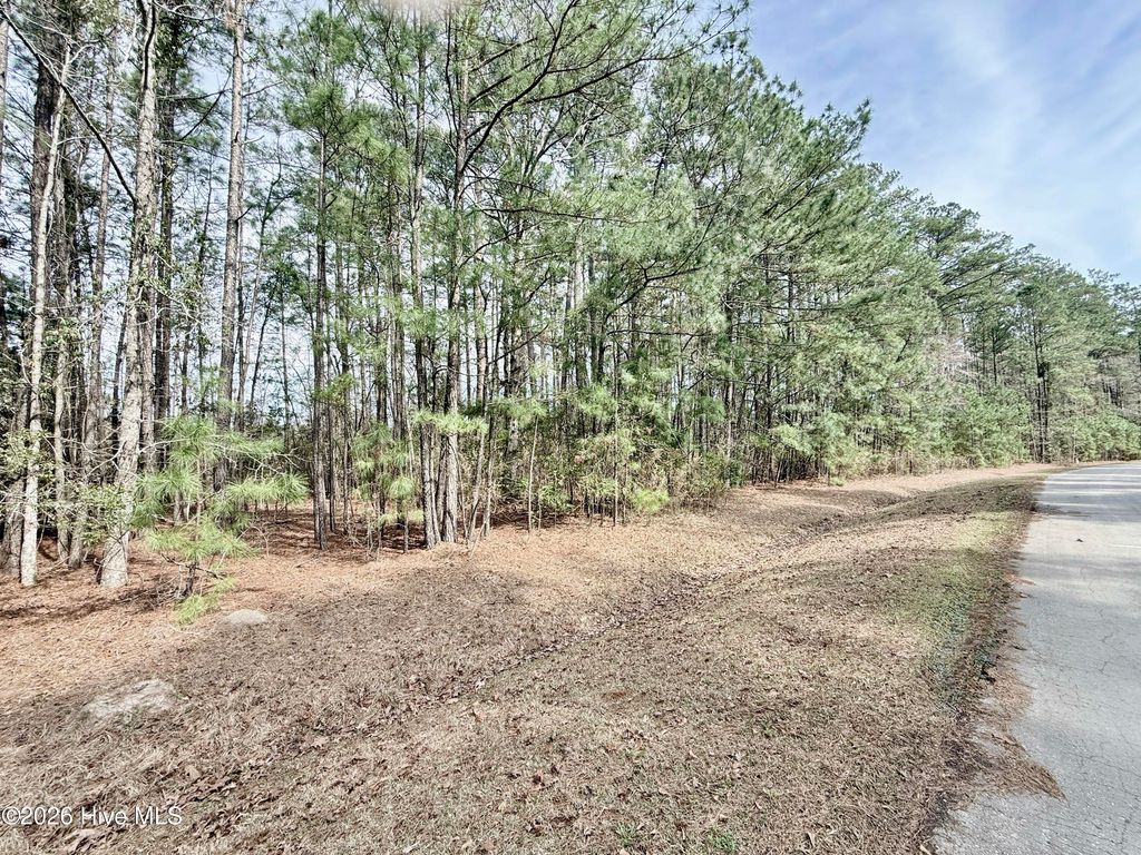 Photo of 00 Doris Drive, Oriental, NC 28571 (MLS # 100560614)
