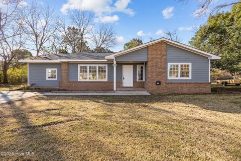 Photo of 278 Bear Creek Road, Hubert, NC 28539 (MLS # 100550445)