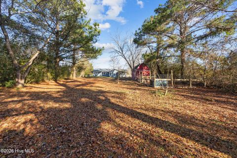 Tiny photo for 278 Bear Creek Road, Hubert, NC 28539 (MLS # 100550445)