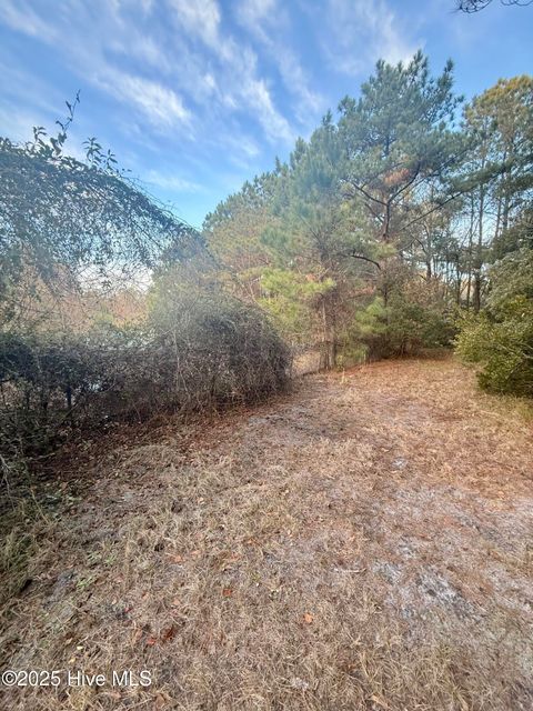 Tiny photo for 56 Riegel Drive, Hubert, NC 28539 (MLS # 100545051)